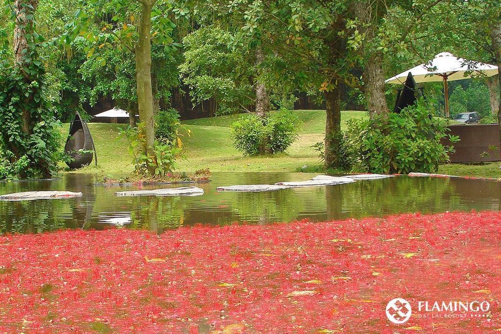 Flamingos Villa Happy Bt Ngọc Quang エクステリア 写真